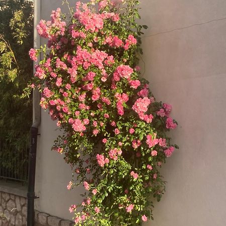 Les 4 Etoiles Bed & Breakfast Montpellier Dış mekan fotoğraf