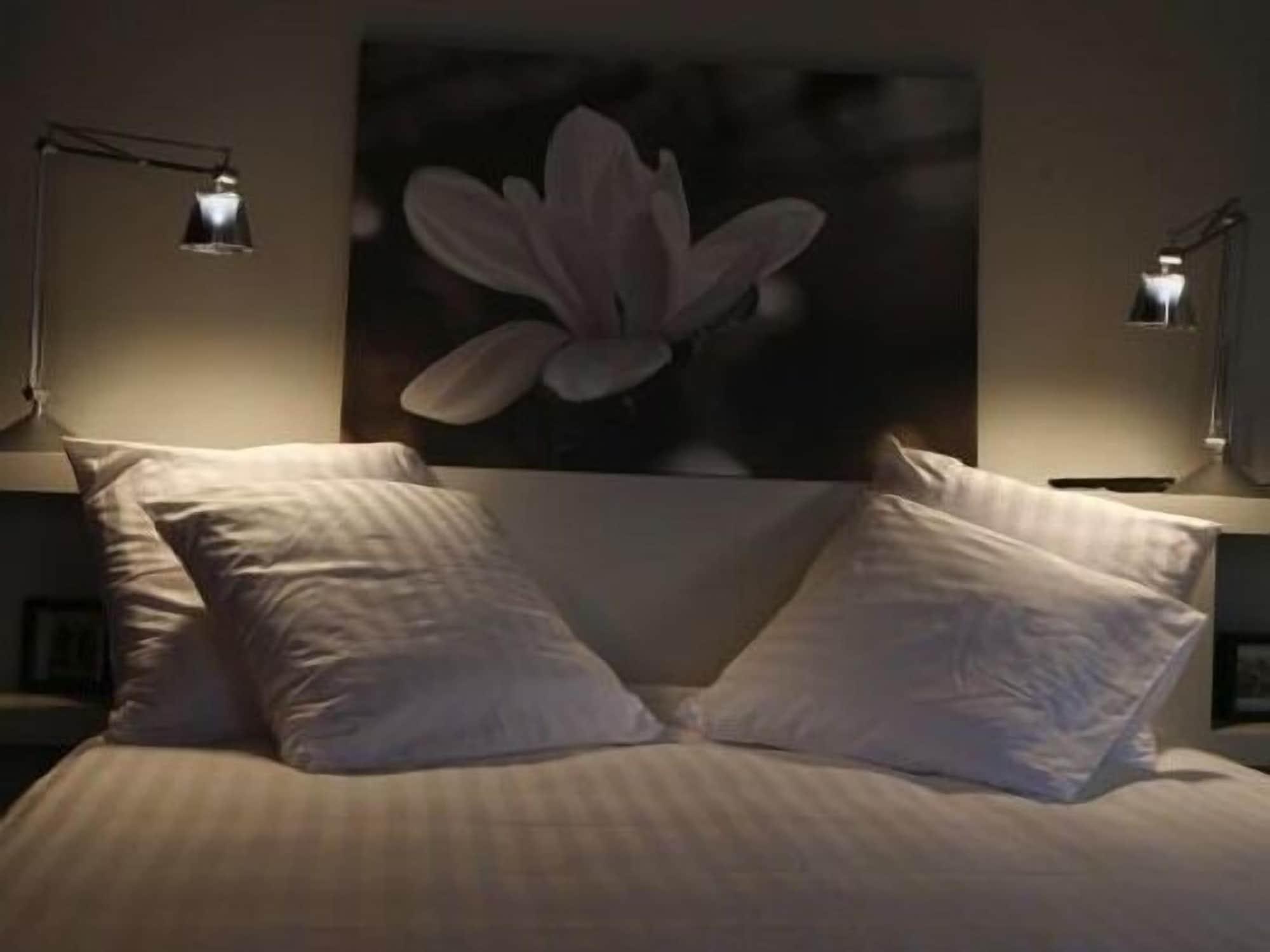Les 4 Etoiles Bed & Breakfast Montpellier Dış mekan fotoğraf